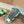 LAMB WOOL SLIPPER GREEN AND BLACK