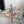 ALAIA HIGH 6 CM SLINGBACK IN BEIGE CREAM PATENT CALFSKIN AND FILM