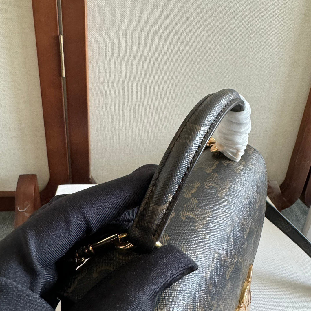 Celine 2026 Nino Teen 20.5cm Black Brown Calfskin