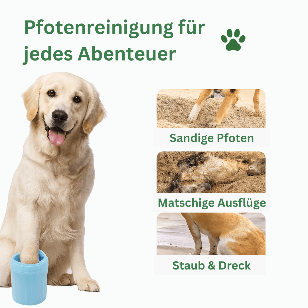 pfotenwaschbecher für hunde bei sand matsch und schmutz
