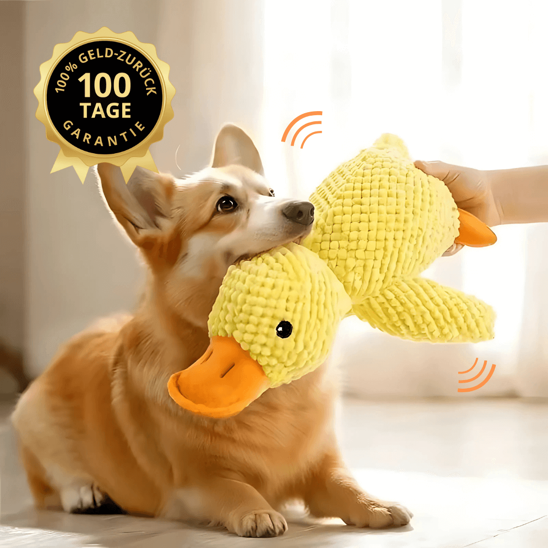 Quietschendes Entenspielzeug für Hunde QuackNox Keleno