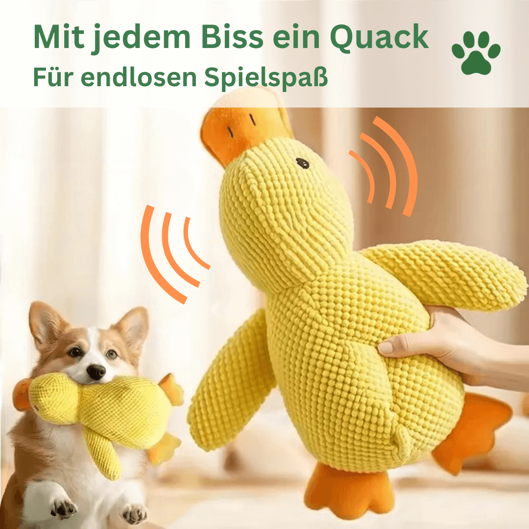 Quietschendes Entenspielzeug für Hunde QuackNox Keleno Erklärung Vorteile Spielspaß