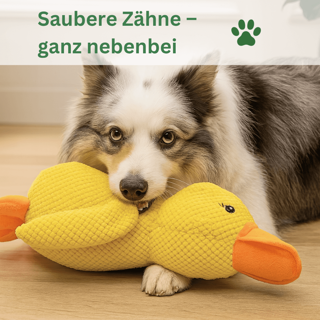 Quietschendes Entenspielzeug für Hunde QuackNox Keleno saubere Zähne