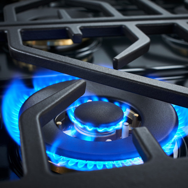 Forza FR304GN 30" Professional Gas Range
