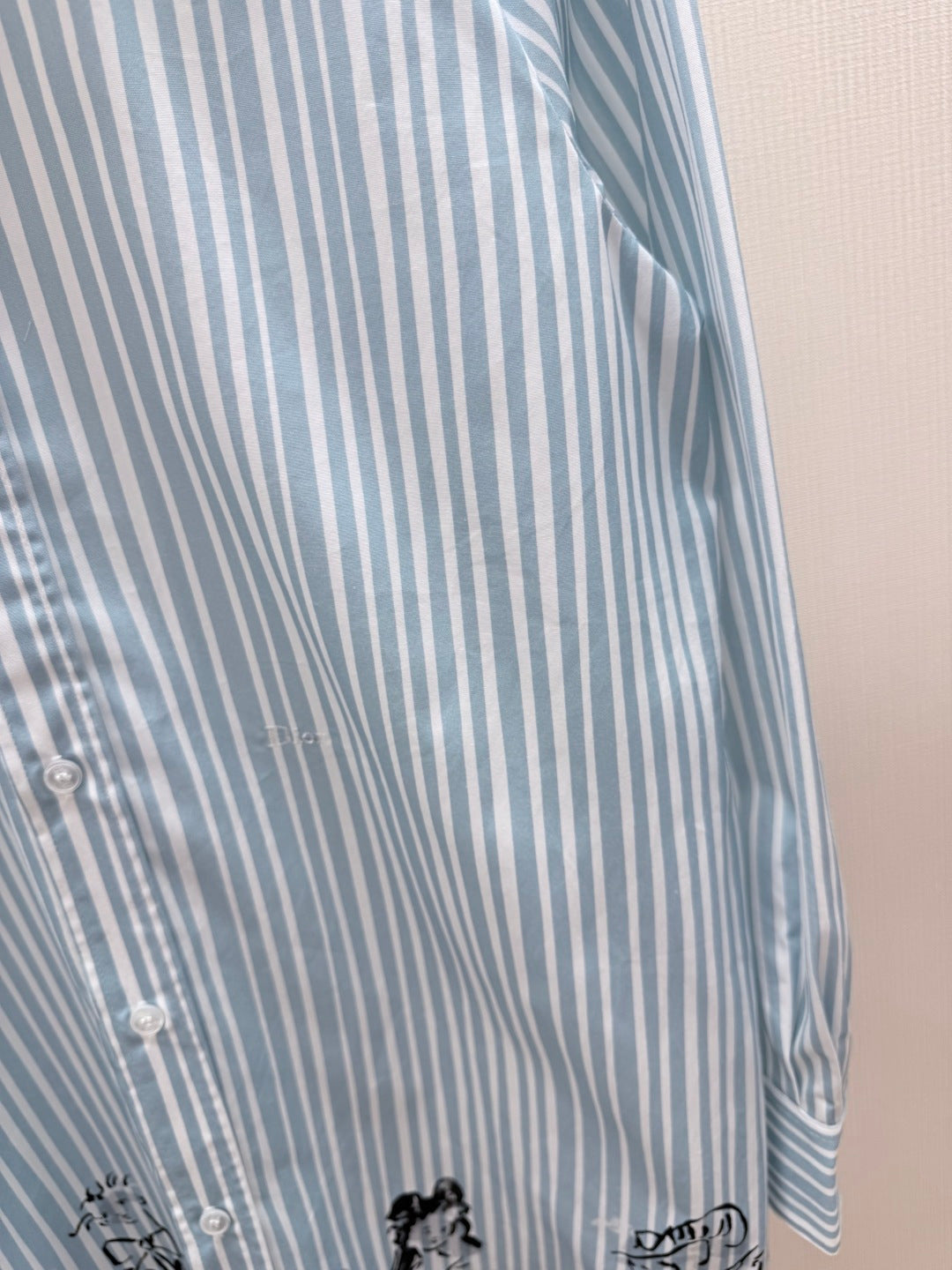 Dior 2026 Print Shirt Blue Cotton 628382