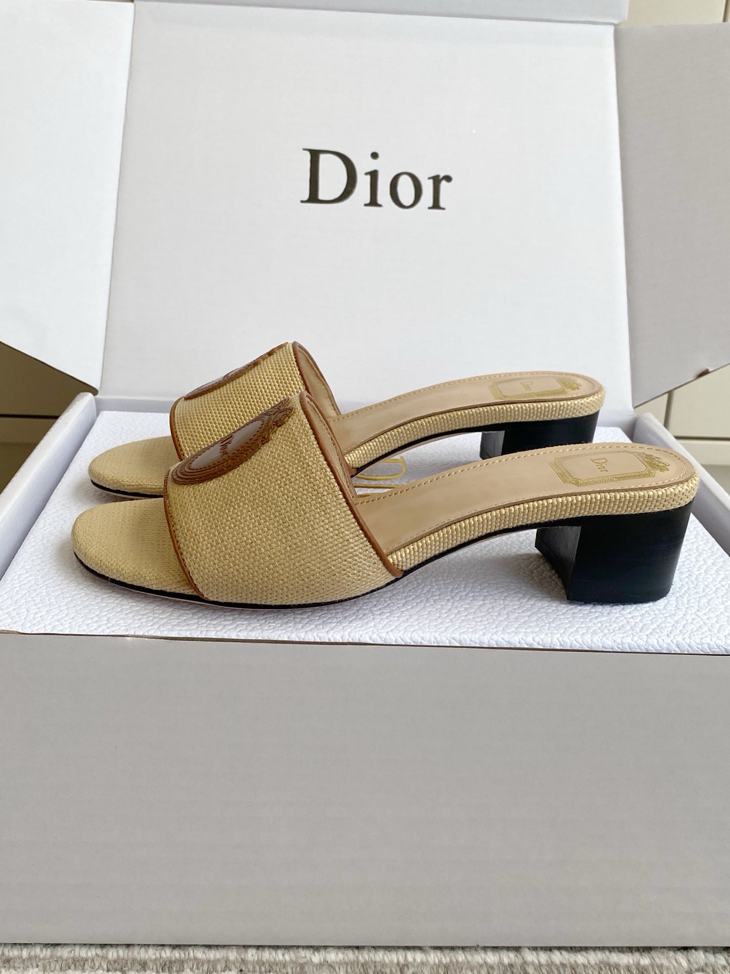 Dior 2026 Medaillon Logo Sandal Raffia Leather 909614