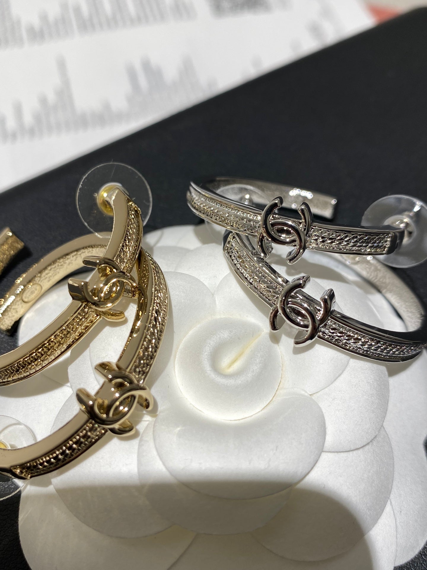 CC Double C Snake Bone Circular Hoop Earrings