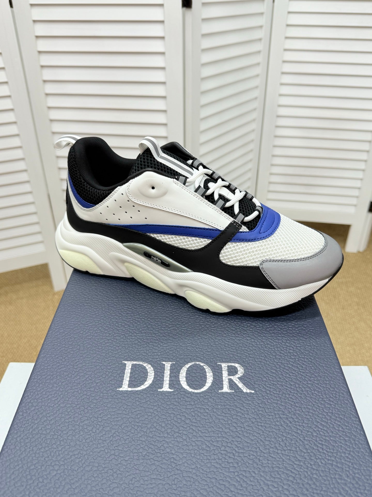 CD B22 Sneaker White-black Mesh Calfskin 648066