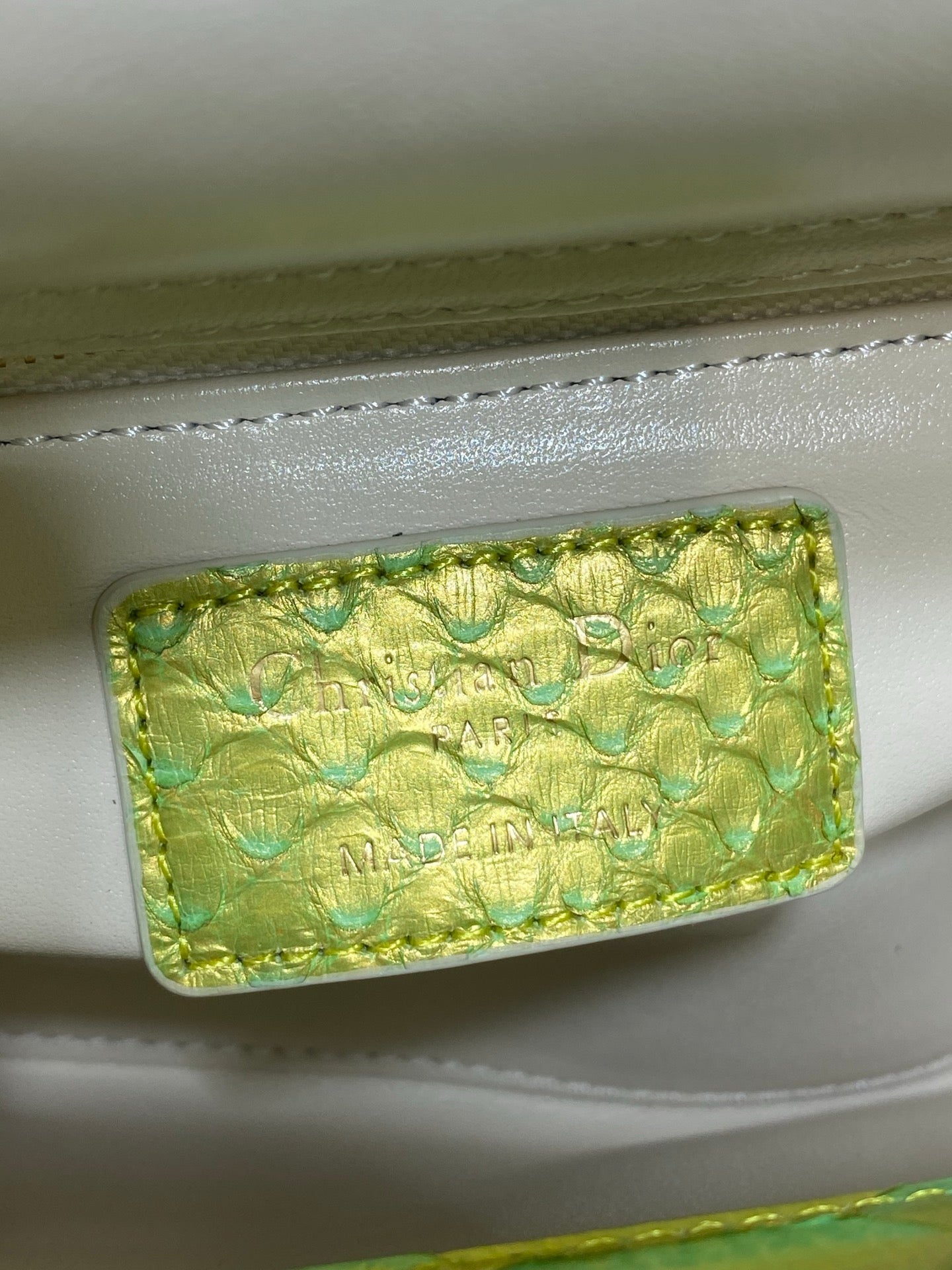 Dior 2026 Lady Embossed Snake Skin Bag 17cm Green Leather 378810