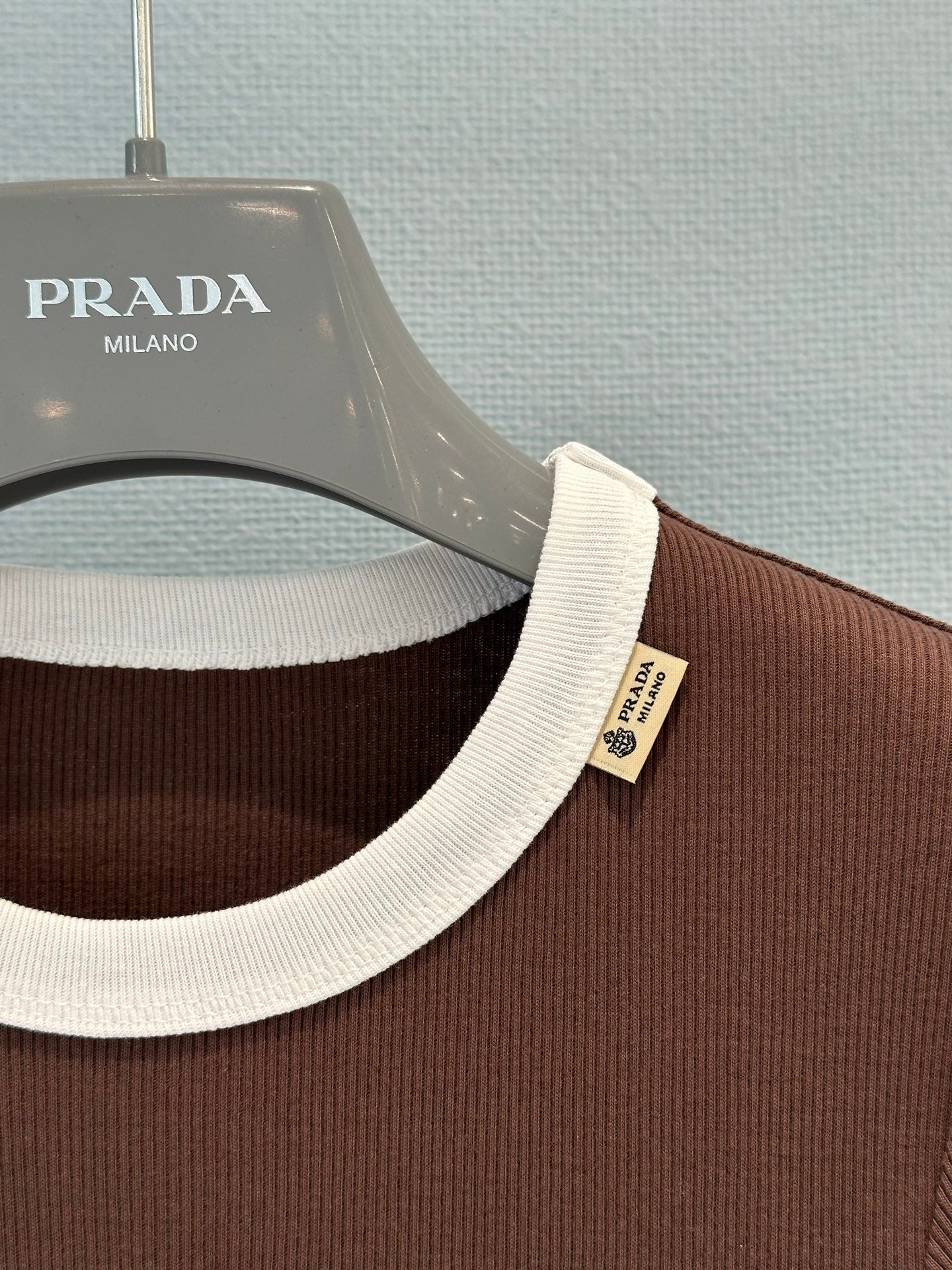 Prada 2026 Shirt Cotton 653681
