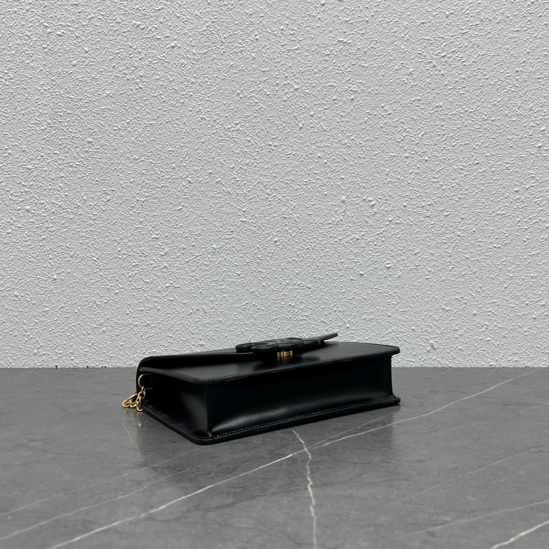Celine 2026 Wallet On Strap Bag 19.5 Black Shiny Calfskin 281888