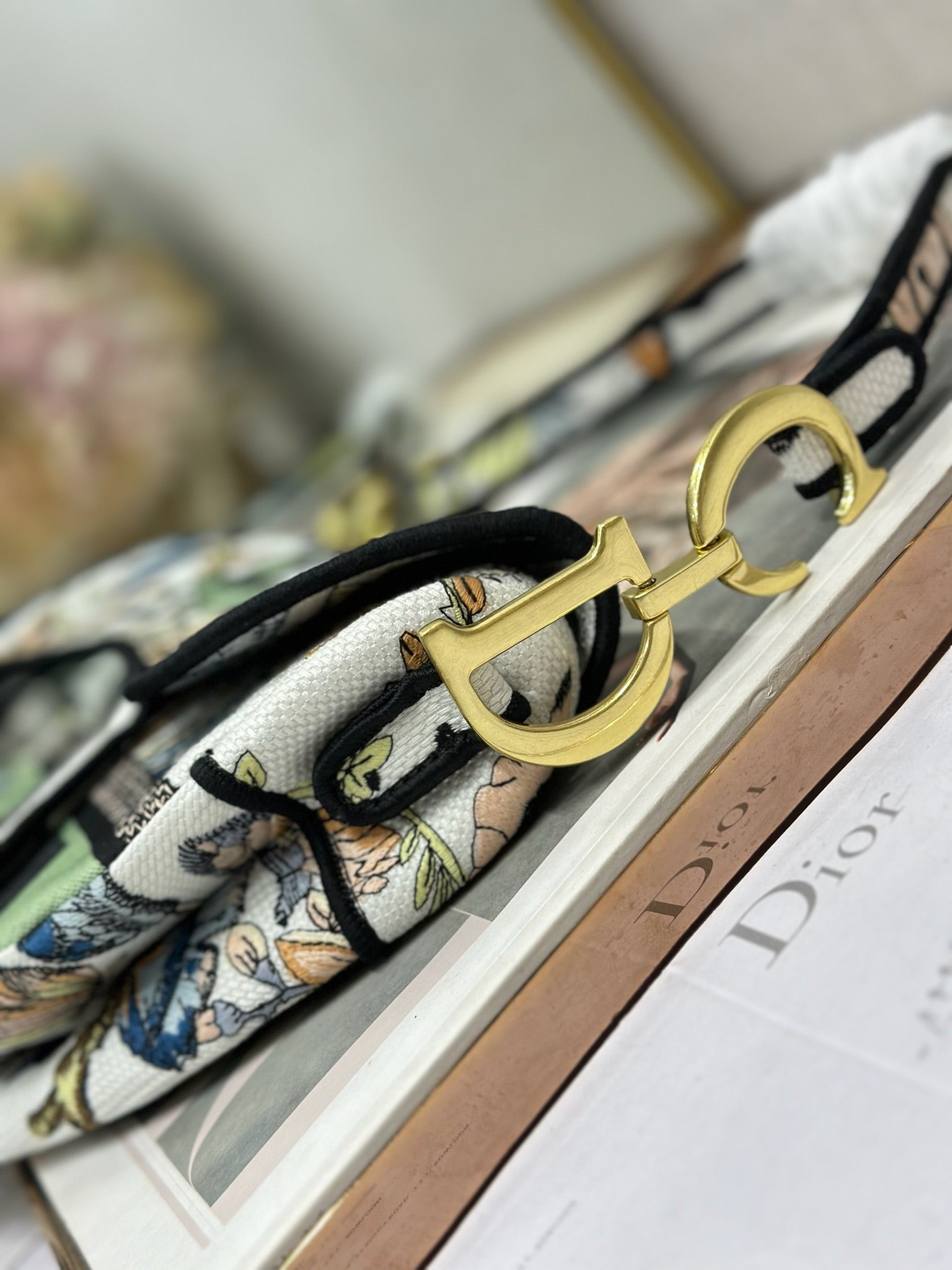Dior 2026 Colorful Butterfly Saddle Bag 25.5cm Canvas 289474