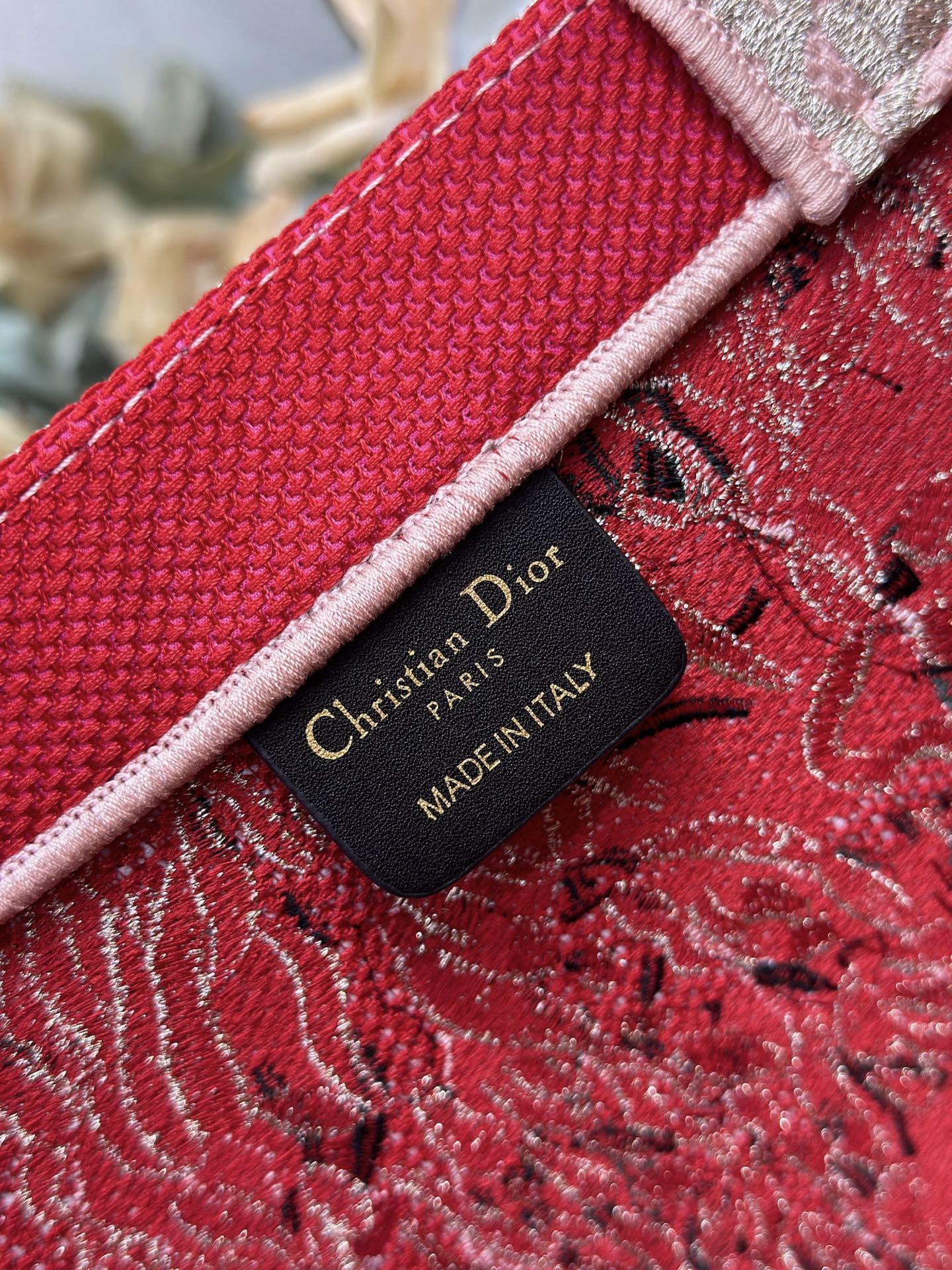 Dior 2026 Book Tote Bag Red mix colors Canvas 289525