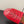 alaia mule red vienne lambskin