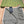SCARF 180 CM IN SHADOW GRAY MIX PEANUT BROWN WOOL 403965