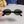 TRIOMPHE SUNGLASS 538531 IN HAVANA ACETATE BLACK LENSES