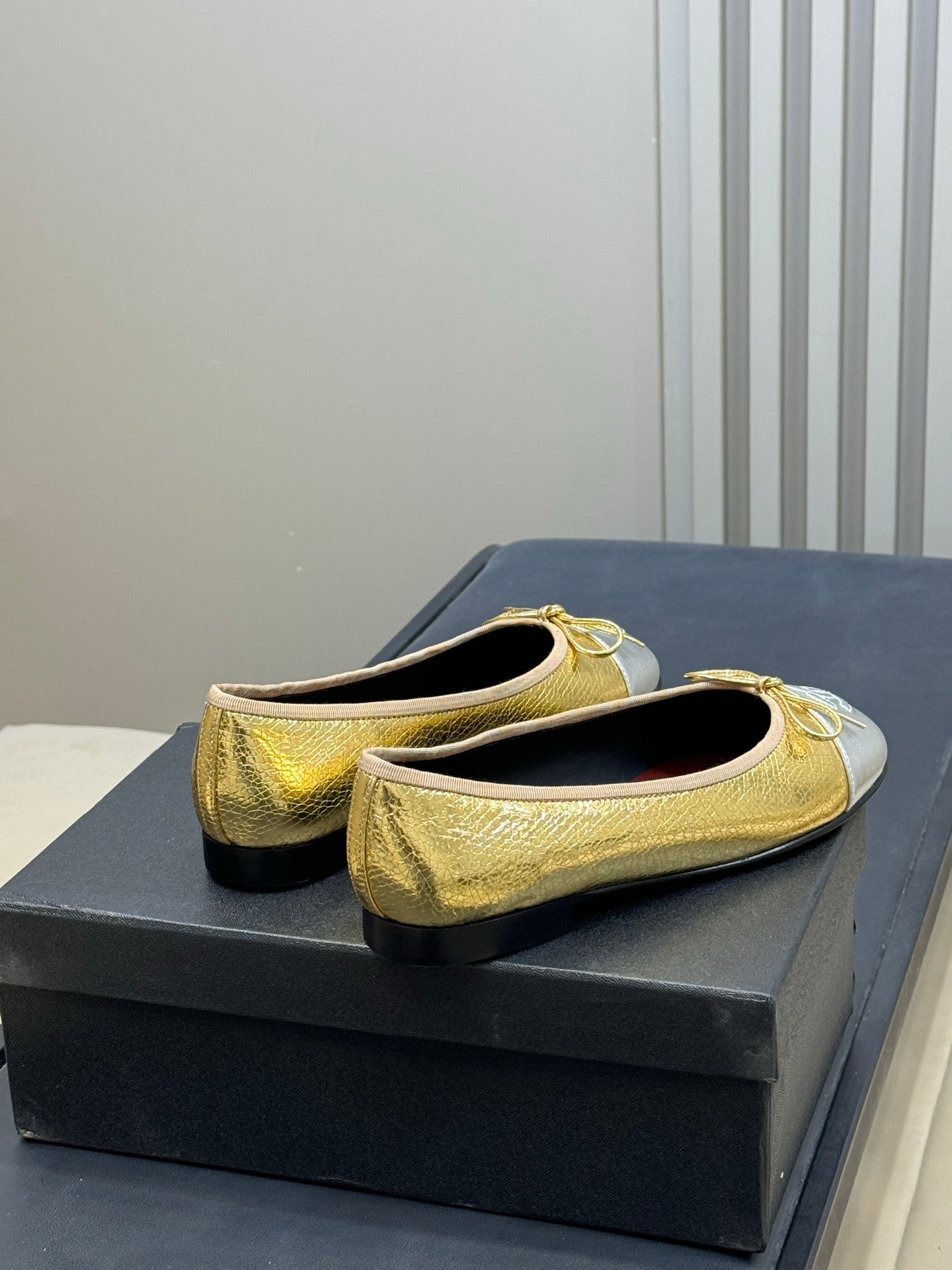Chanel 2026 Ballet Flat Gold Silver Leather