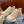 GG Men's Rhyton Sneaker Milk White Calfskin 524496