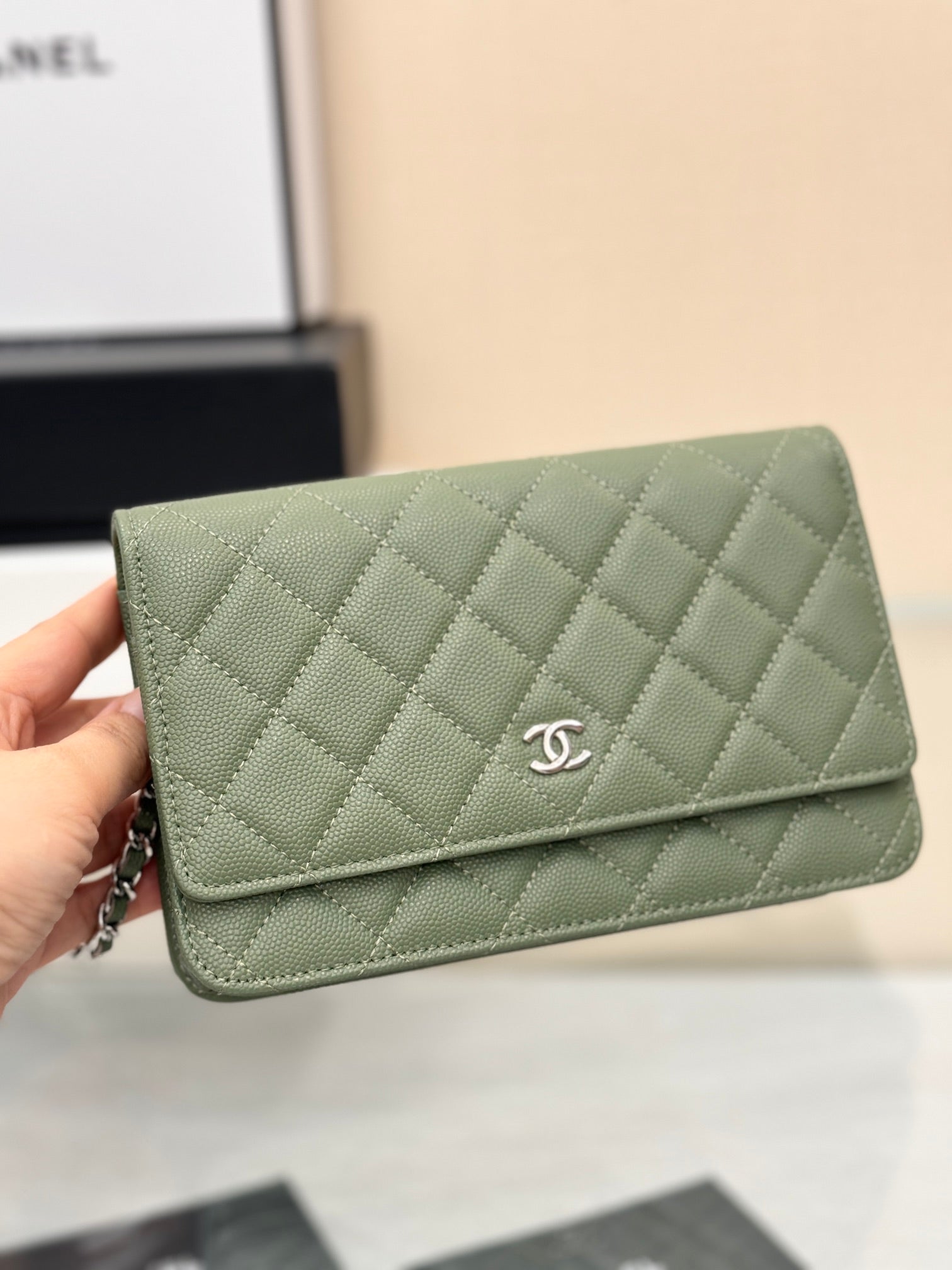 WOC 19CM GREEN CAVIAR SILVER HARDWARE