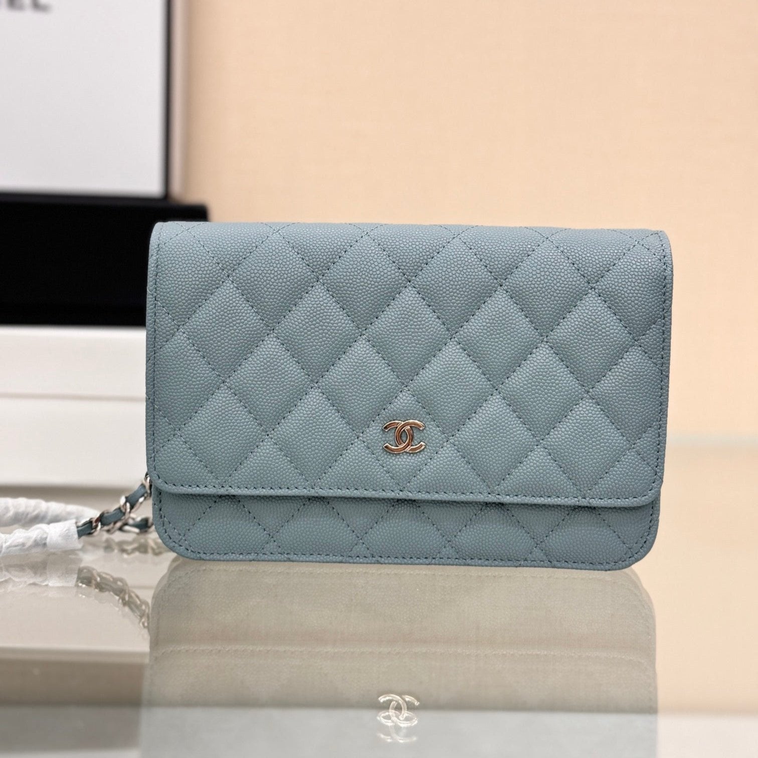 WOC 19CM CAVIAR SILVER HARDWARE